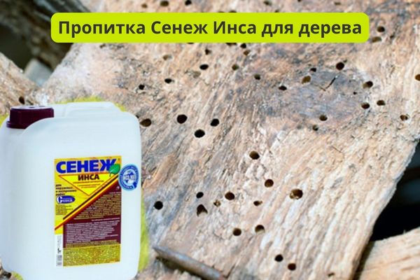Пропитка Сенеж Инса от насекомых фото
